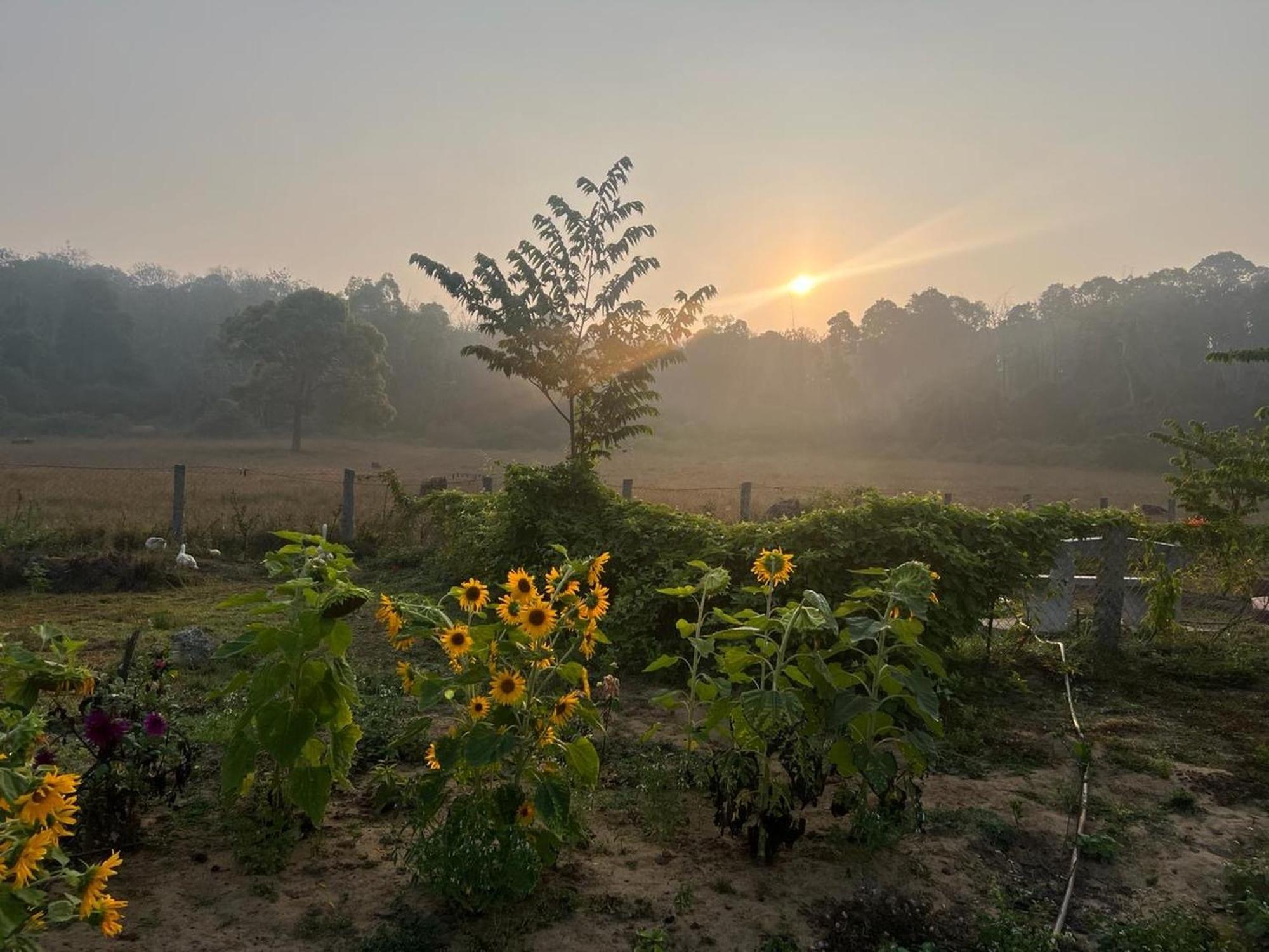 The Deer Meadows Villa Mudumalai Buitenkant foto